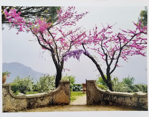 Photos of Italy- Amalfi Coast Garden